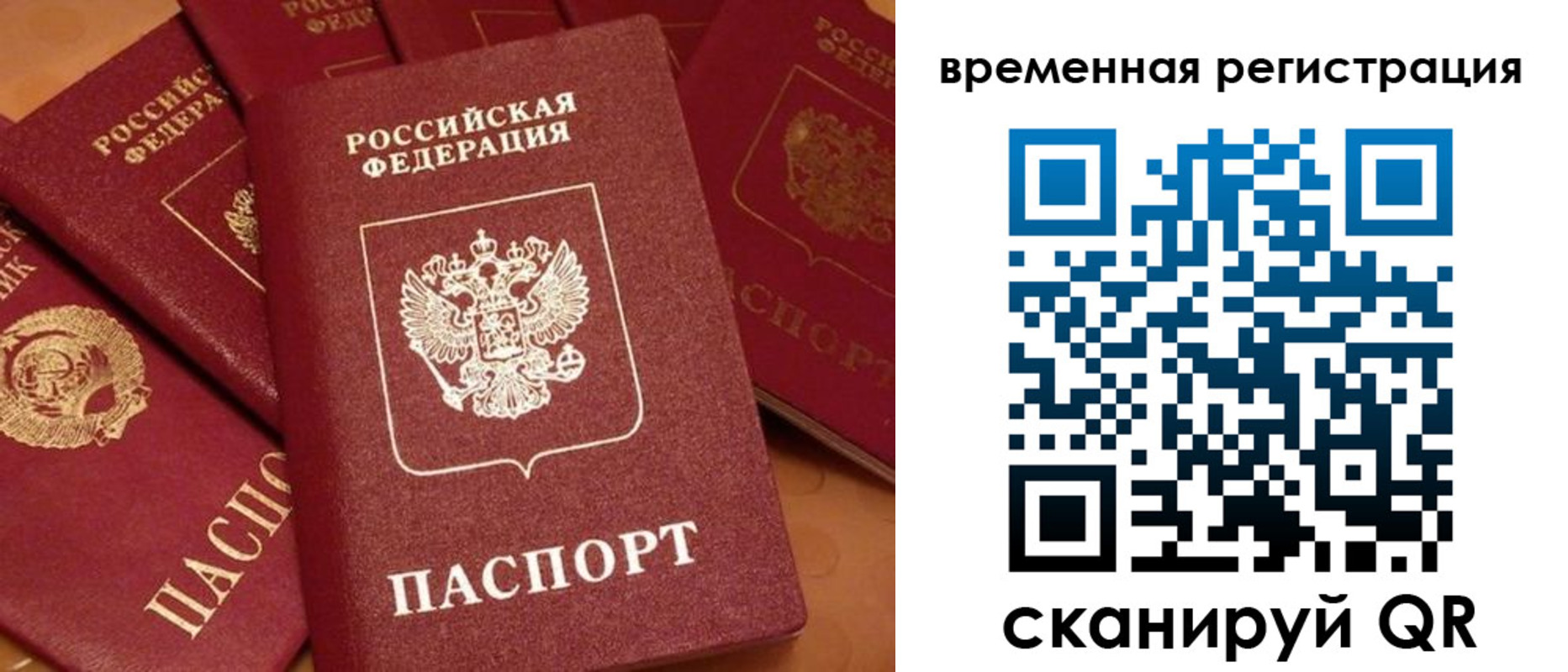 где прописаться в Каргополе